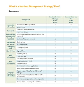 Plan Strategy Components table